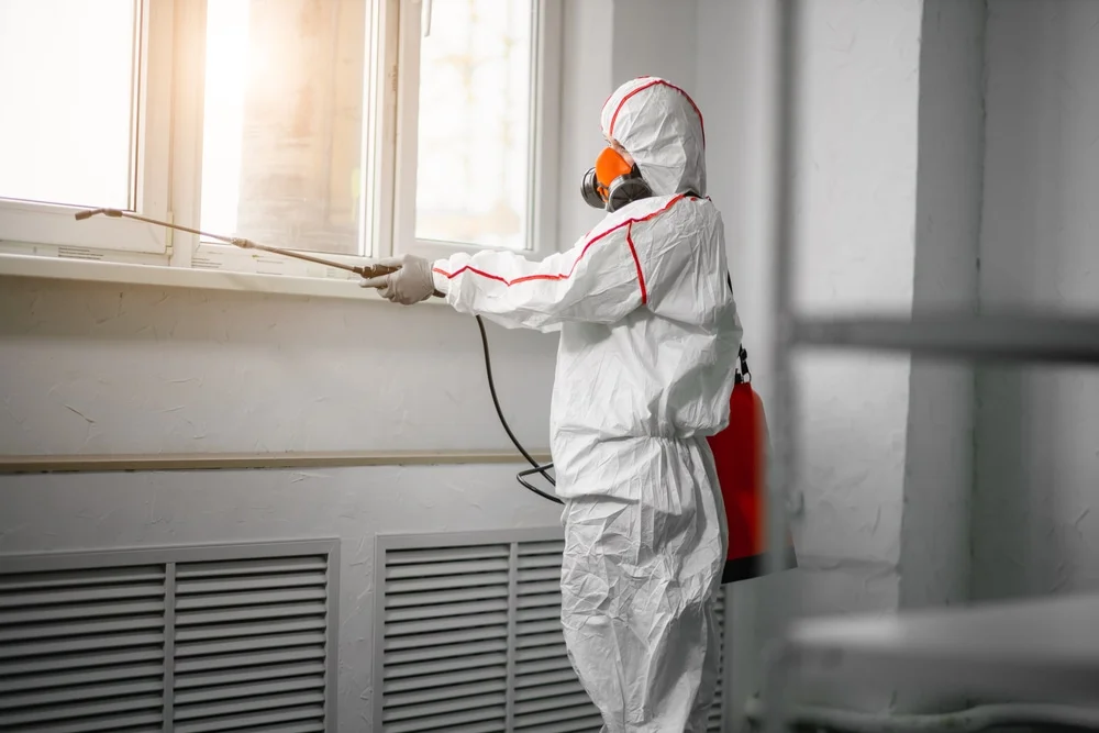 Professional mold remediation services in Buffalo, MN